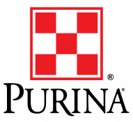 Workplace Safety and Induction Voiceovers