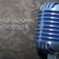 Professional Voice Over